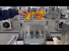110V Komersial Electric Press Orange Citrus Juicer Dengan Basket Stainless Steel